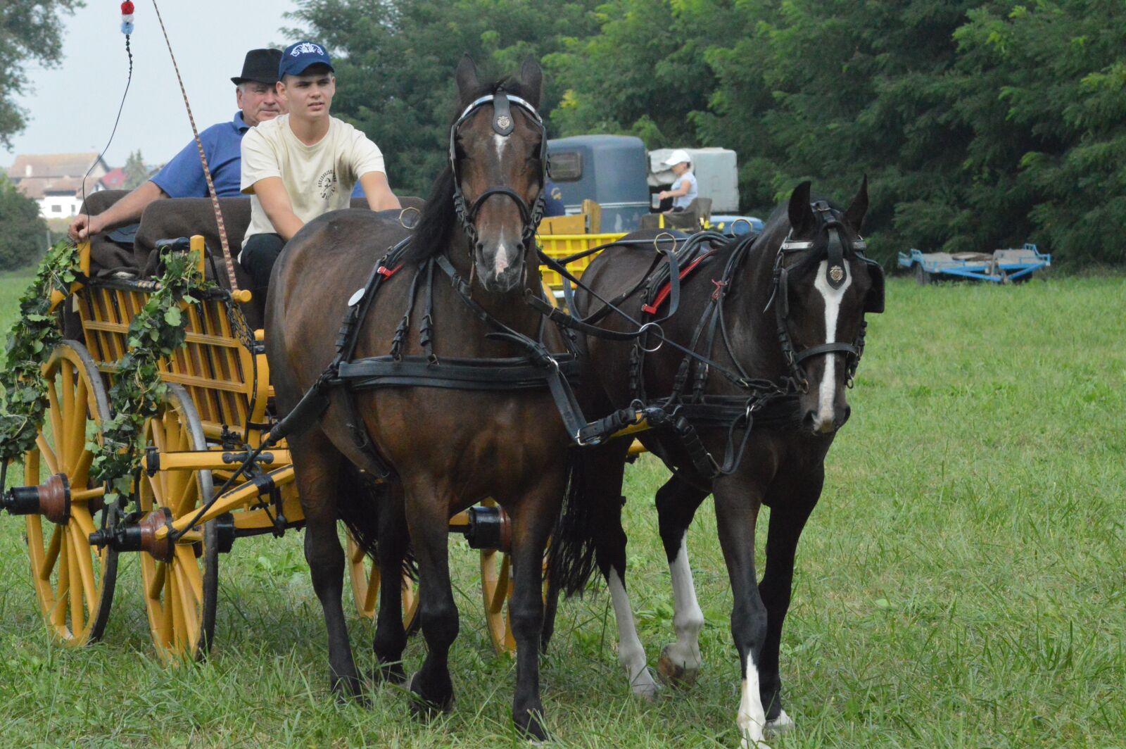 Nikon D3200 sample photo. Horse, carriage, nostalgia photography