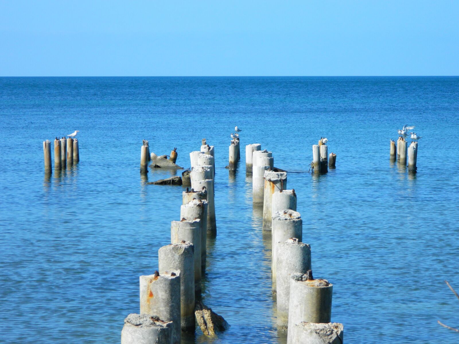 Nikon Coolpix L120 sample photo. Sea, birds, horizon photography