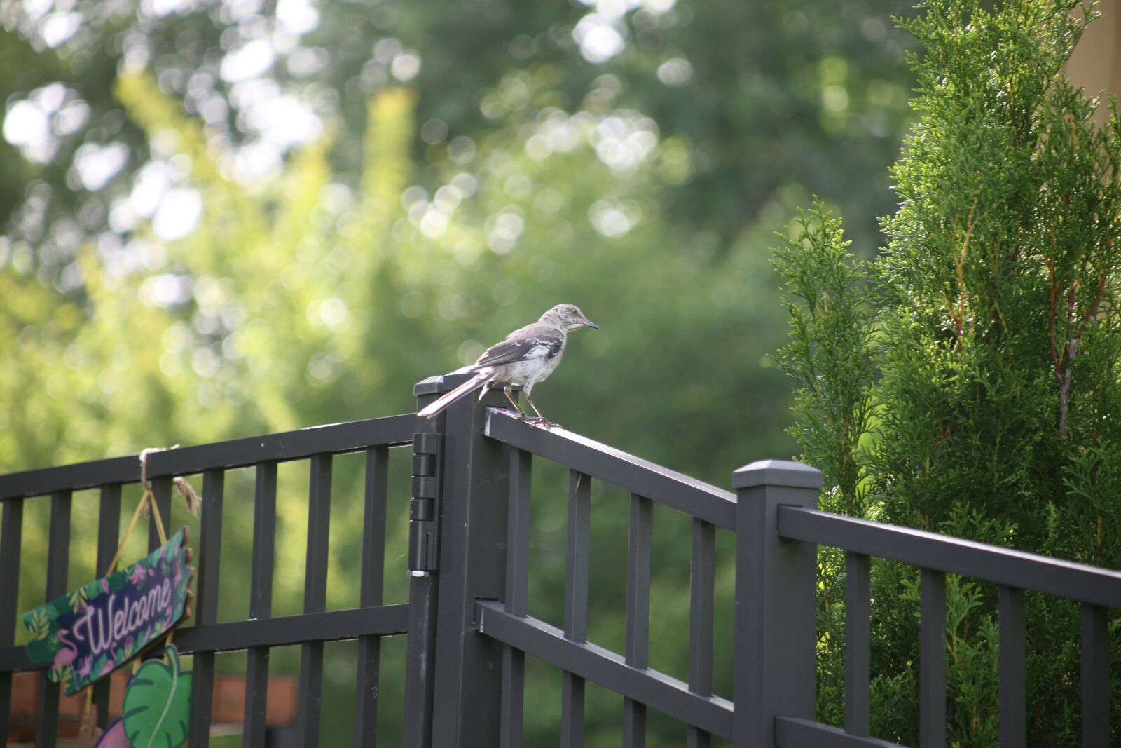 Canon EOS 5D sample photo