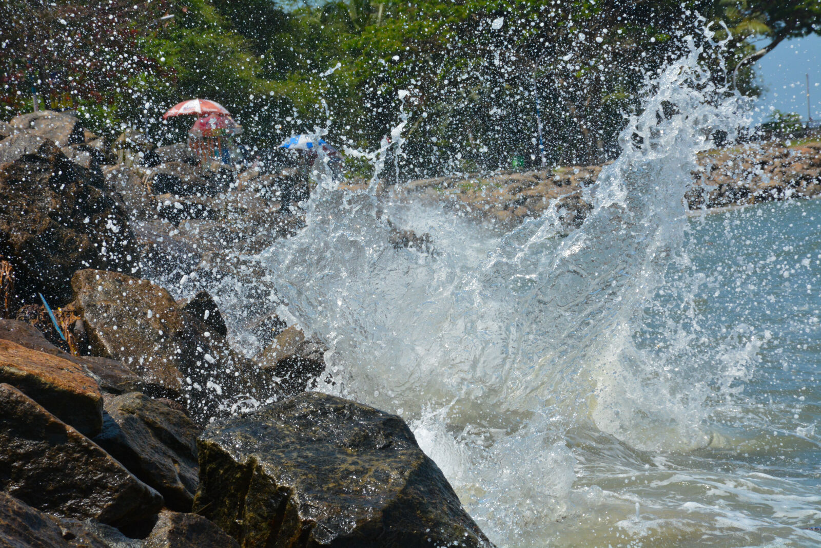 Nikon D7100 + Nikon AF-S DX Nikkor 18-140mm F3.5-5.6G ED VR sample photo. Beach, holidays, kerala, nature photography