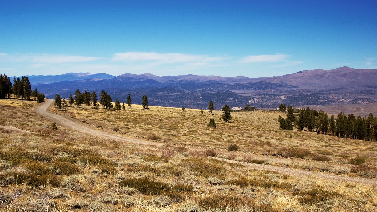 Nikon D50 sample photo. Usa, california, mountains photography