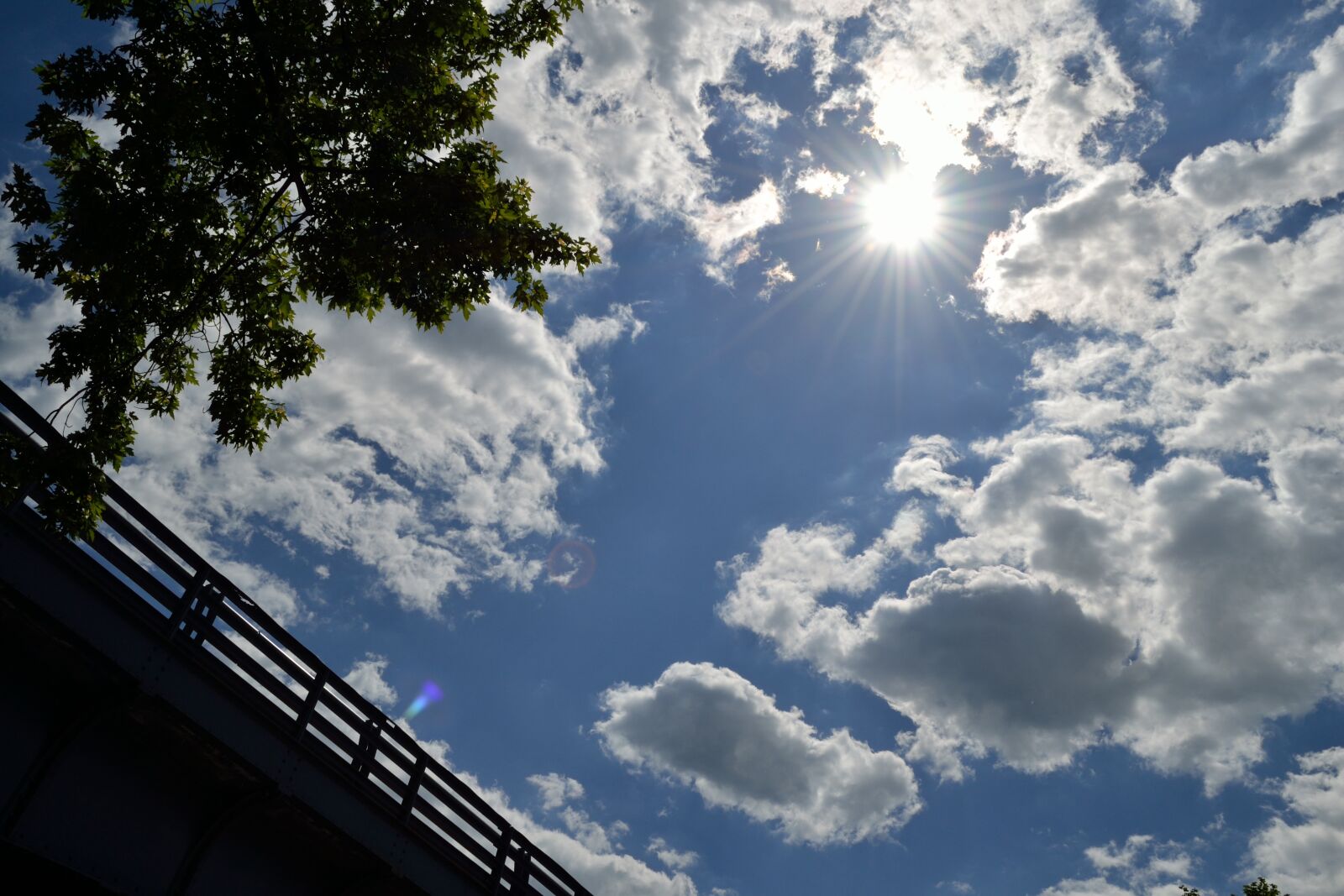 Nikon D3100 sample photo. Clouds, sun, trees photography