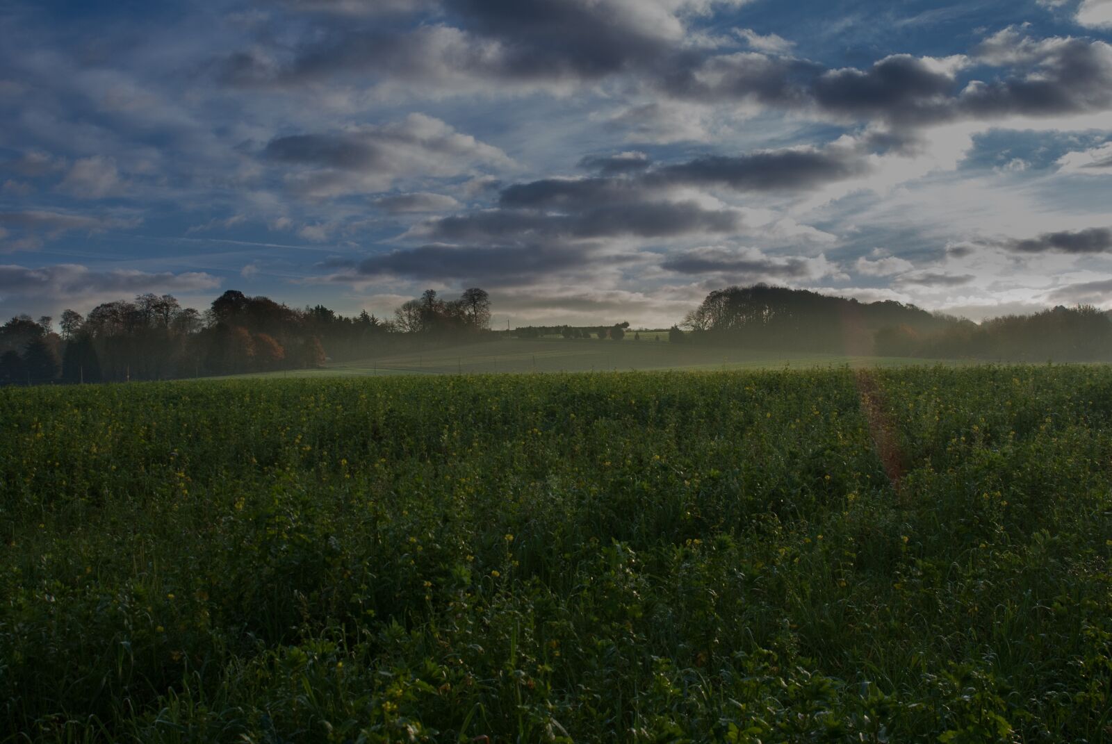 Nikon D80 sample photo. Landscape, nature, fall photography