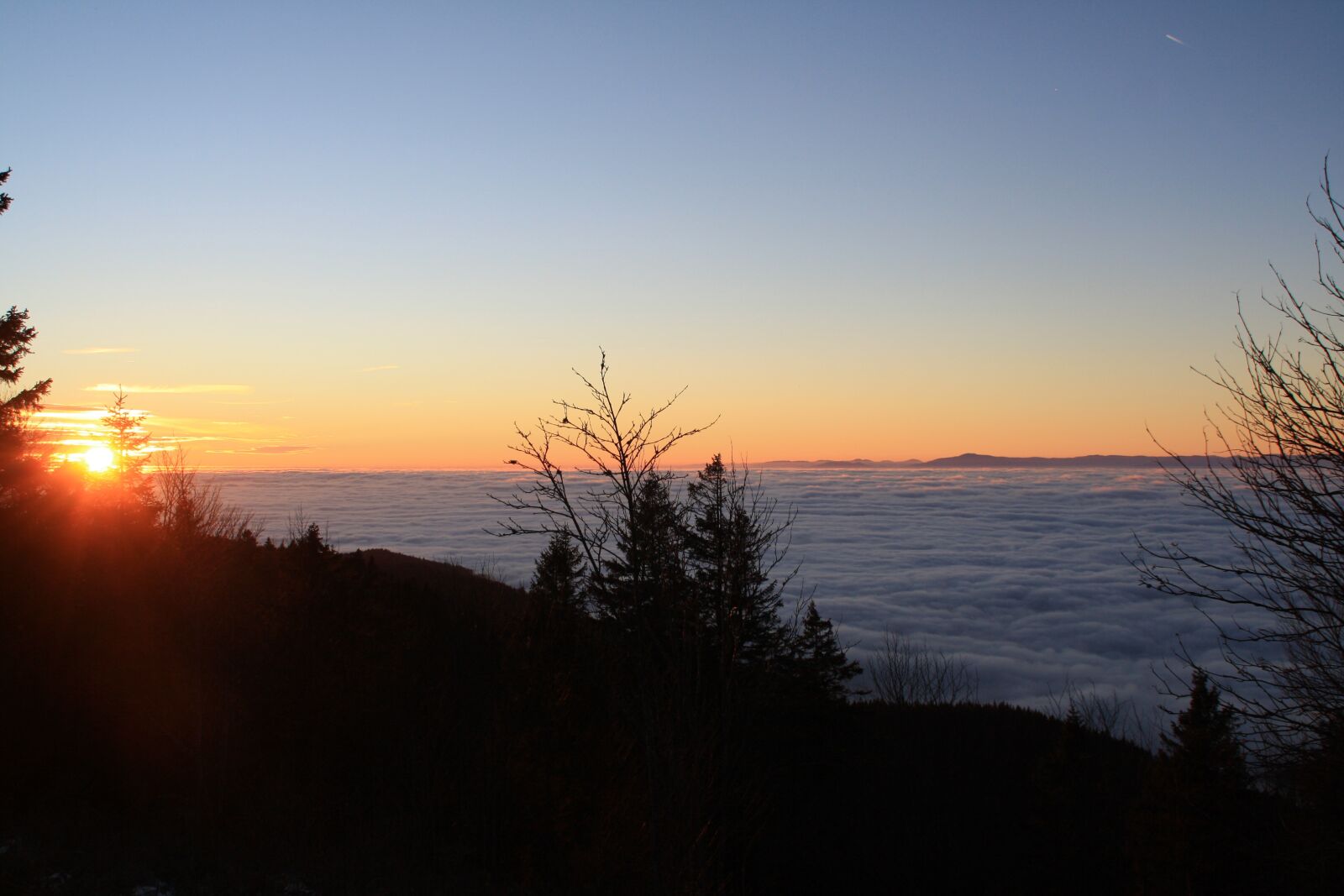 Canon EOS 1000D (EOS Digital Rebel XS / EOS Kiss F) sample photo. Sonnenuntergang, winter, fog photography