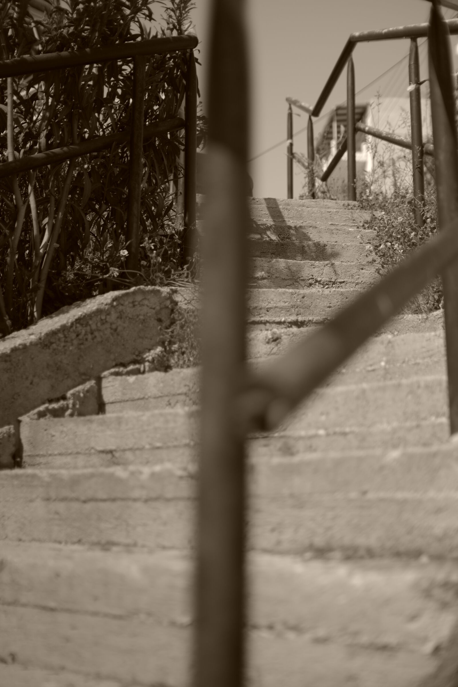 Pentax K-5 sample photo