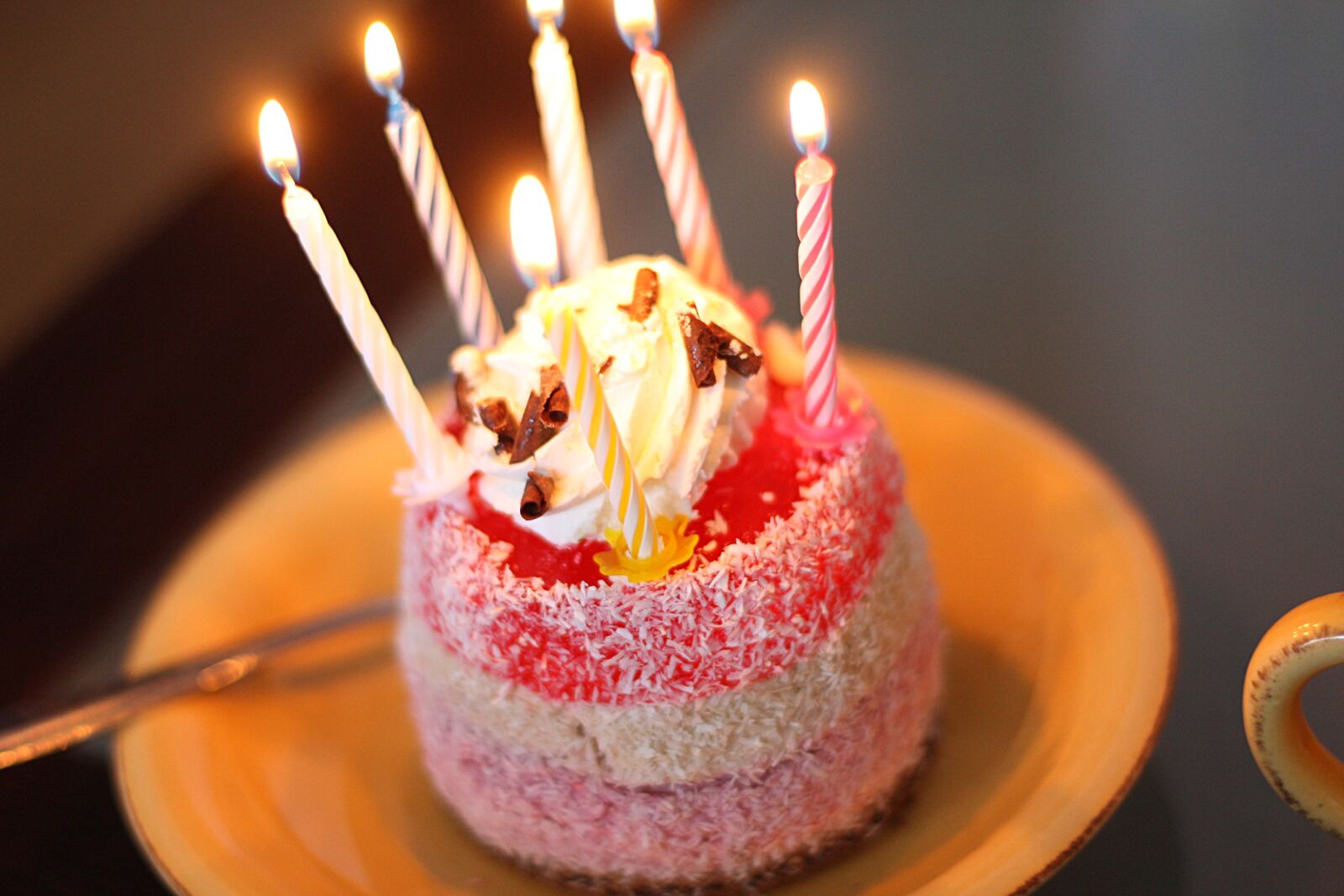 Canon EOS 450D (EOS Rebel XSi / EOS Kiss X2) sample photo. Cake, candles, the cake photography