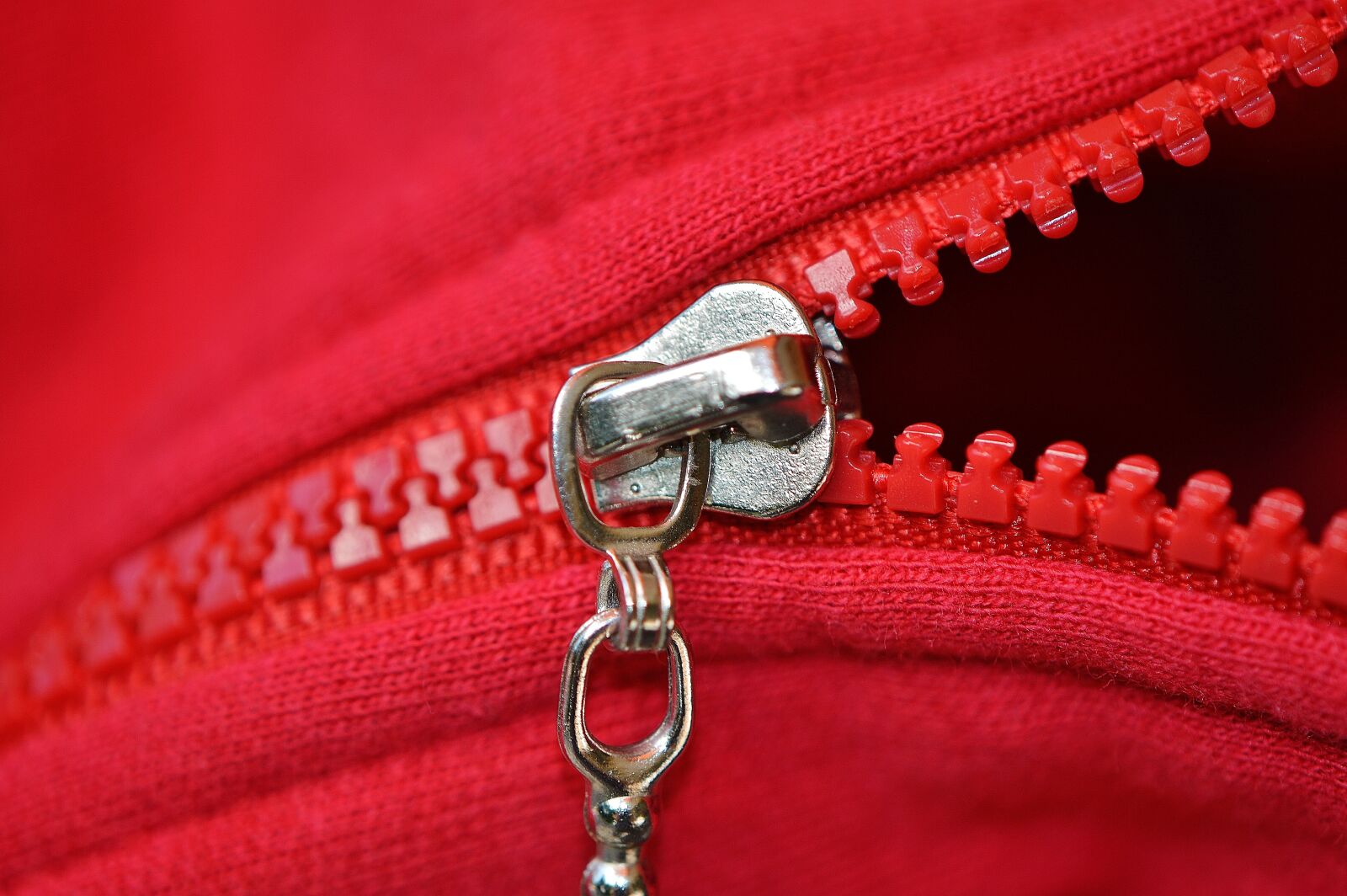 Nikon D3200 sample photo. Zip, red, coarse photography