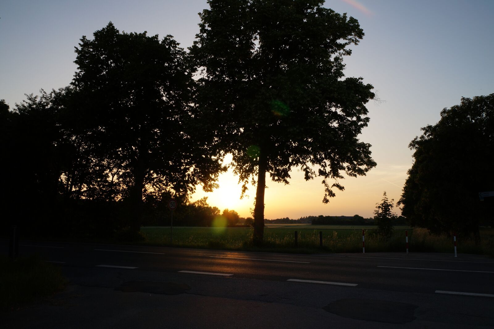 Sony Alpha a3000 + Sony E 18-55mm F3.5-5.6 OSS sample photo. Landscape, trees, nature photography