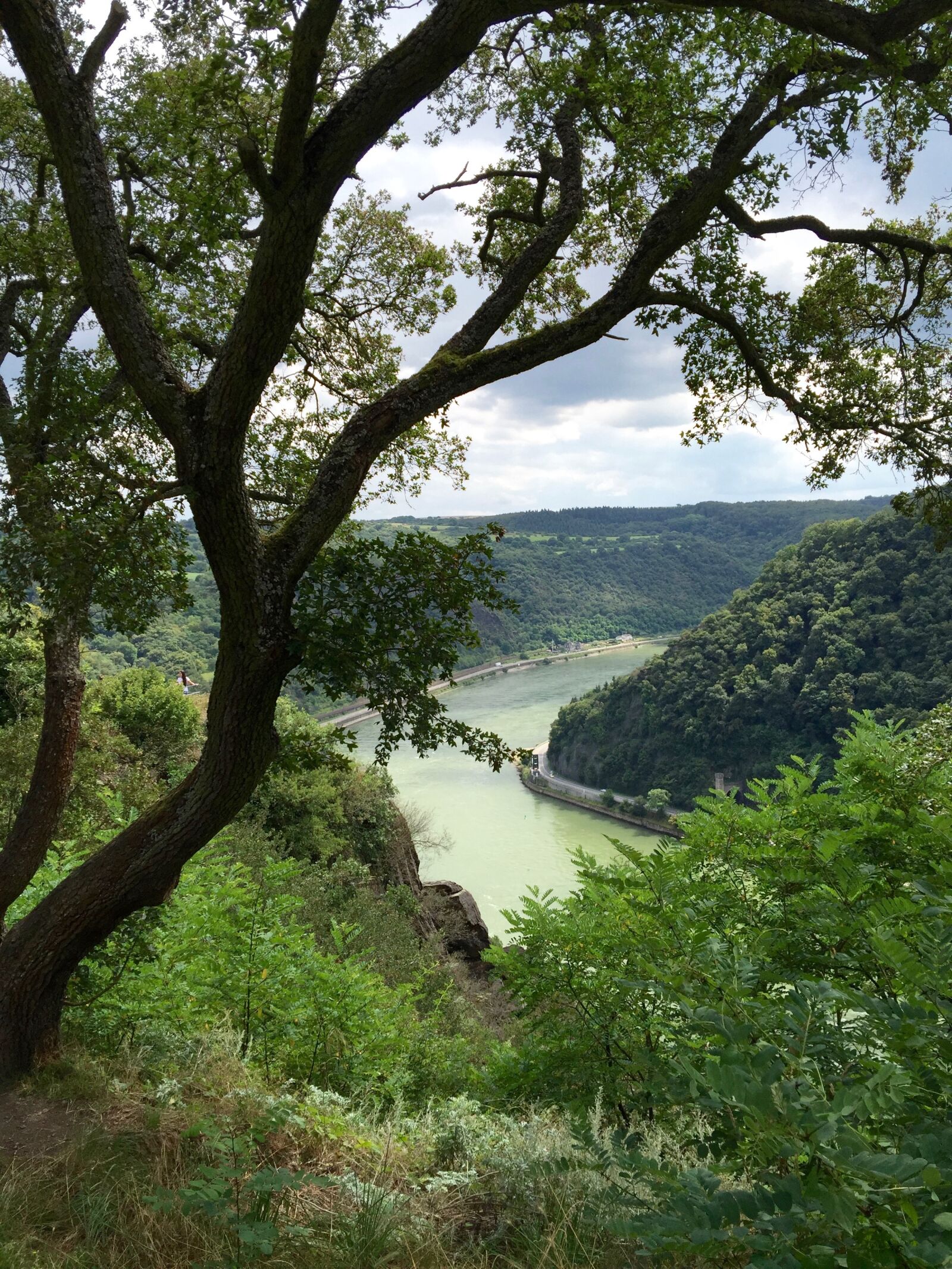 iPhone 6 Plus back camera 4.15mm f/2.2 sample photo. Rhine, river landscape, river photography