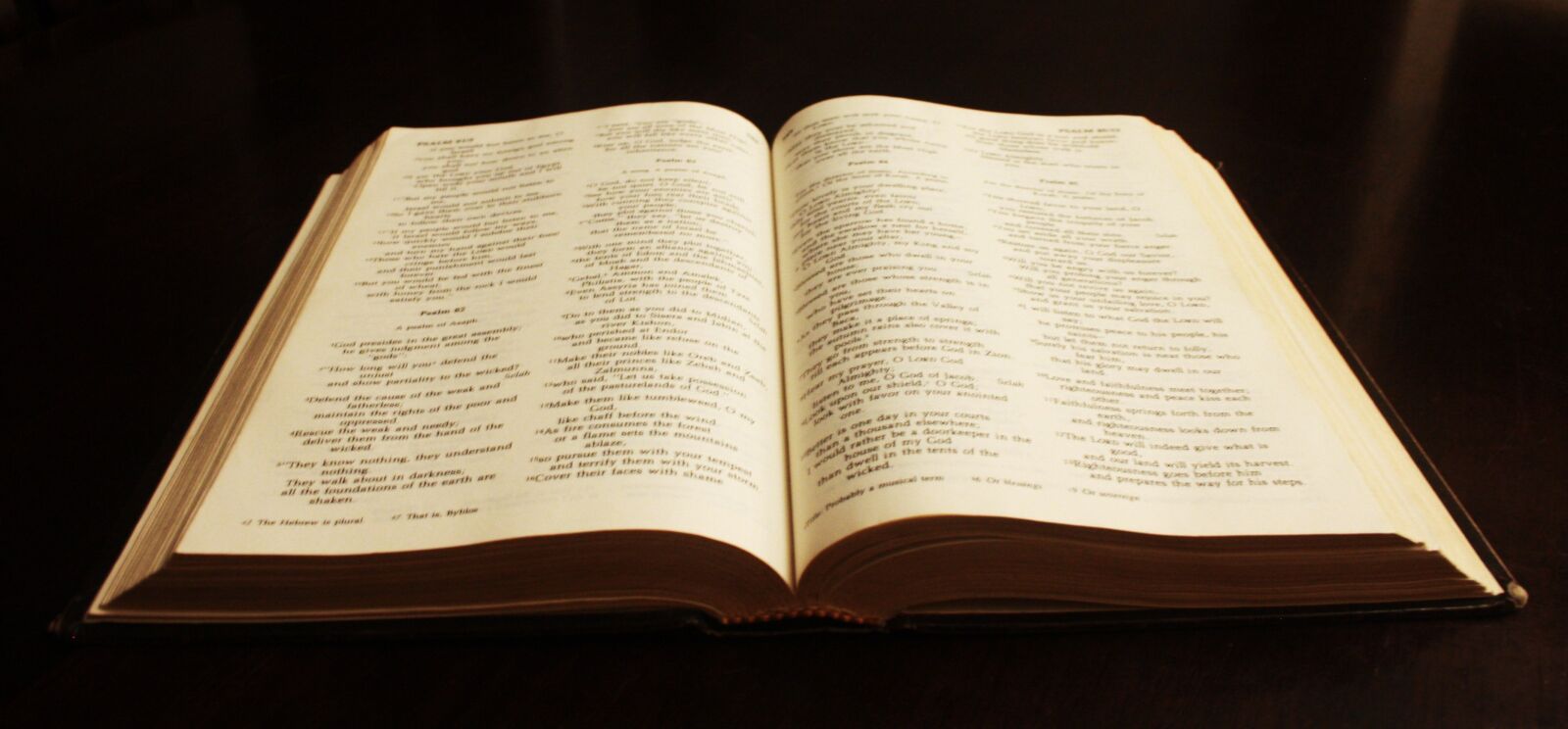 Canon EOS 1000D (EOS Digital Rebel XS / EOS Kiss F) sample photo. Book, bible, text photography