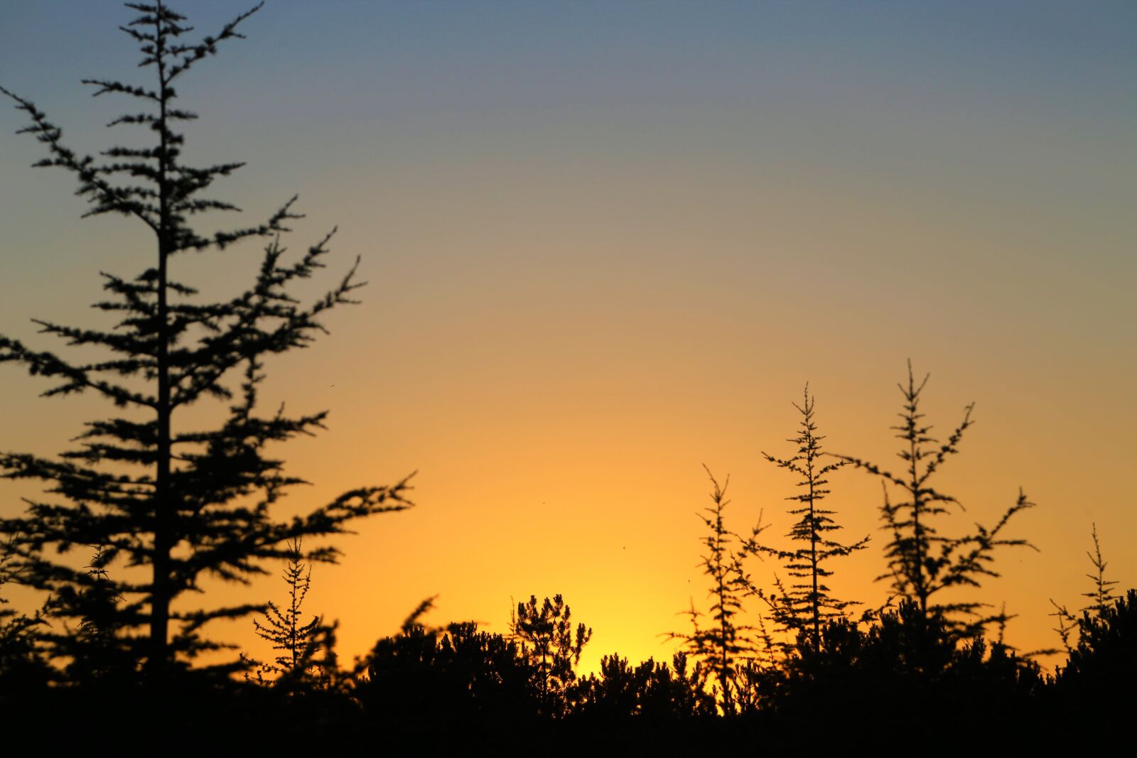 Canon EOS 6D + Canon EF 24-105mm F4L IS USM sample photo. Sunset, in the evening photography