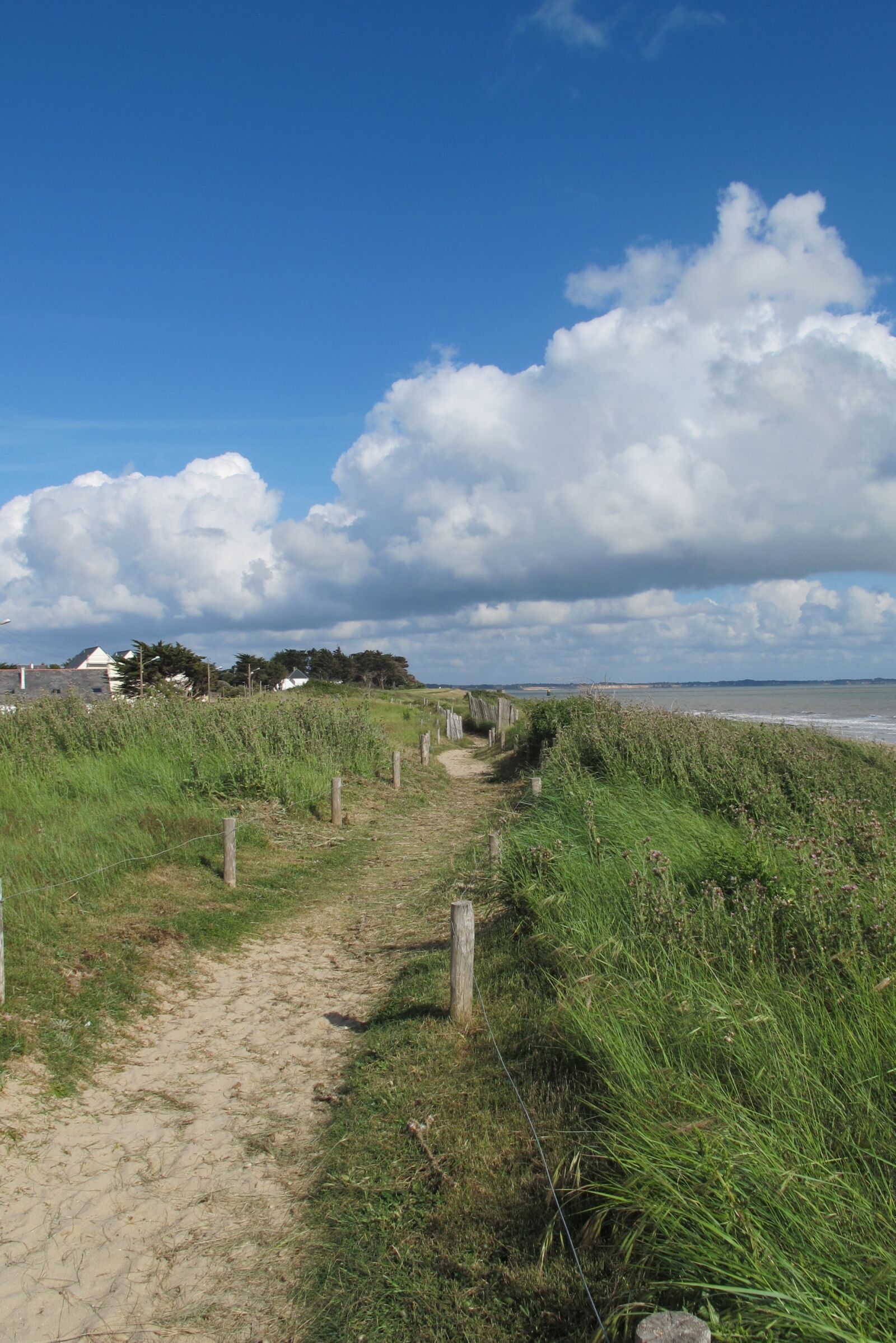 Canon PowerShot G12 sample photo. Dunes, atlantic coast, grass photography