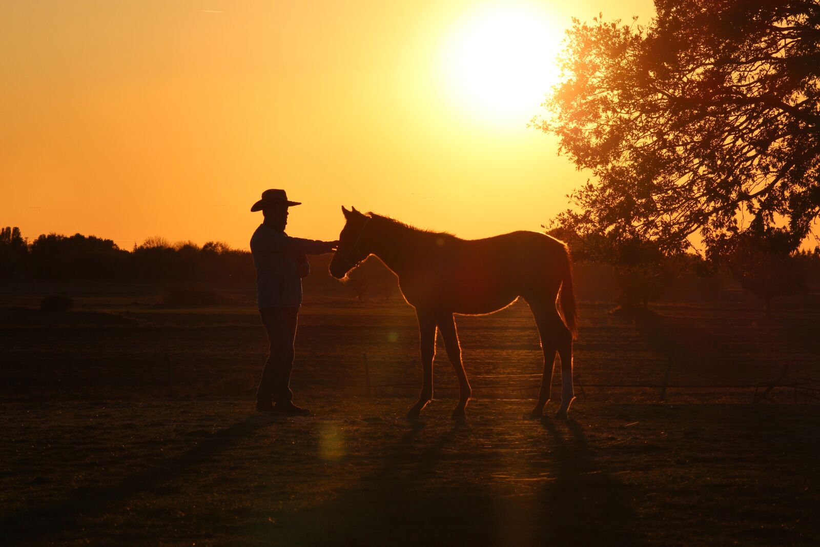 Canon EF-S 55-250mm F4-5.6 IS STM sample photo. Sunset, dawn, outdoor photography