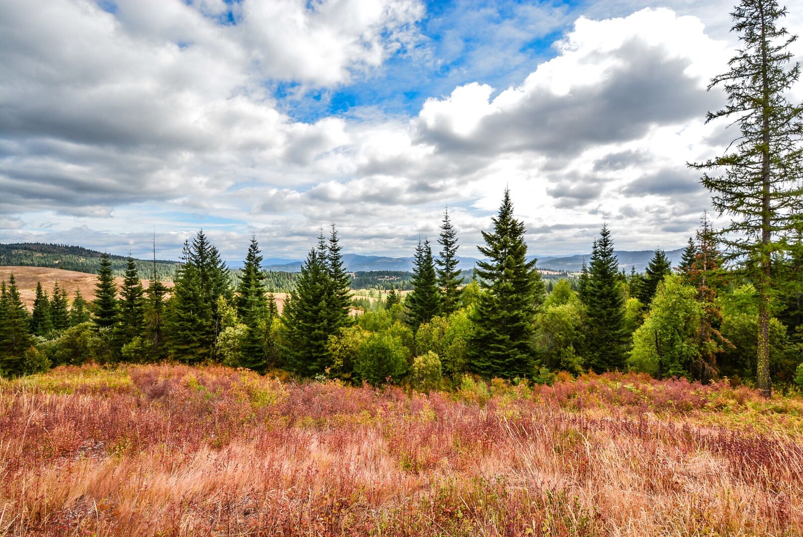 Nikon D5200 sample photo. Mountains, view, trees photography