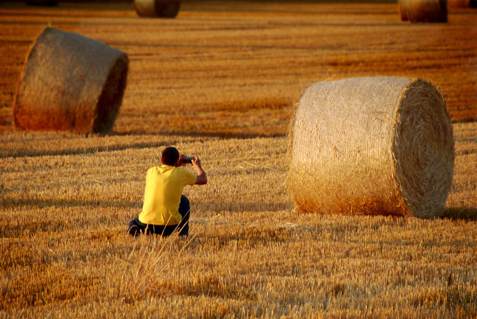 Nikon D80 sample photo. Hay bales, harvest, field photography