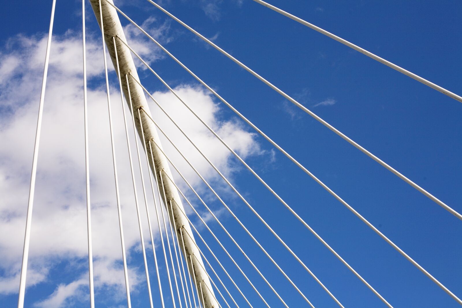 Canon EOS 5D sample photo. Bilbao, calatrava, bridge photography