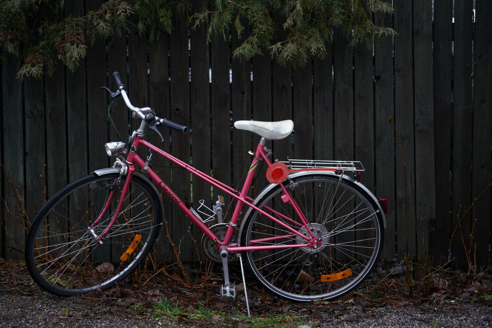 Sigma 24-70mm F2.8 DG DN Art sample photo. Forgotten bicycle photography