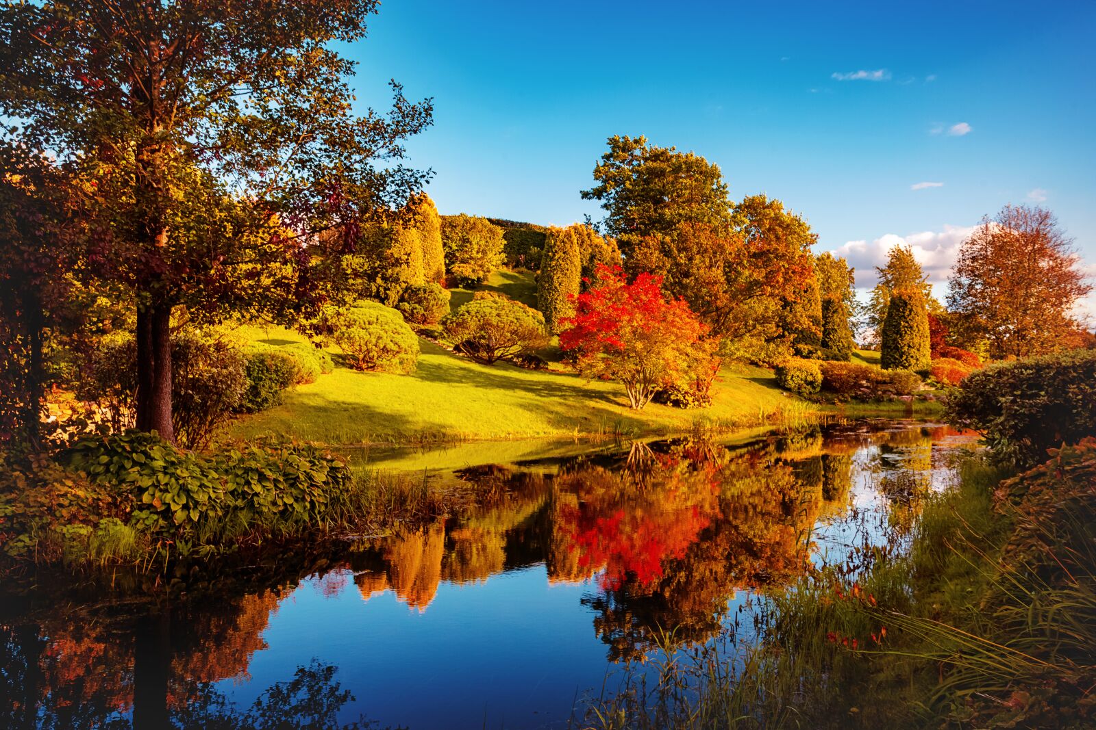 Canon EOS 5D Mark II sample photo. Nature, landscape, autumn photography
