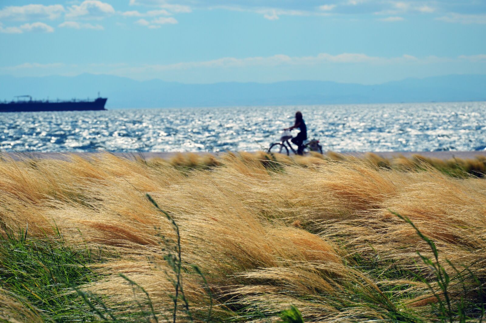 Nikon D3200 sample photo. Seafront, waves, sea photography