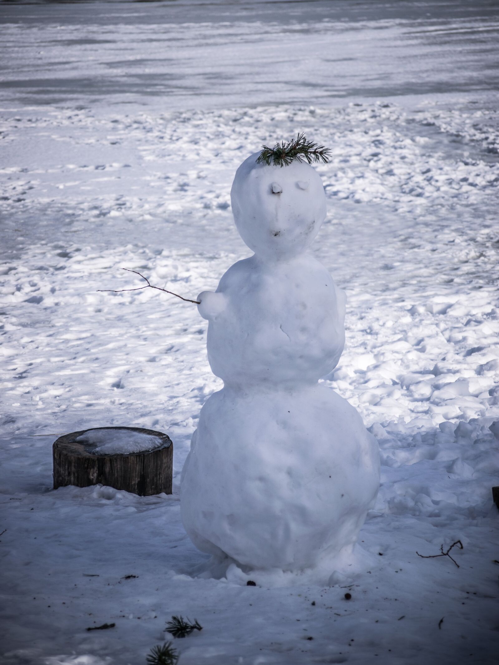 Nikon D5300 sample photo. Snowman, winter, snow photography