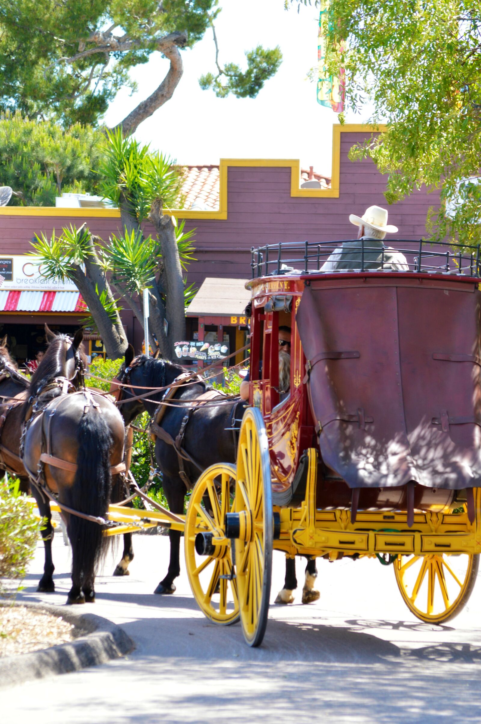 Nikon D3200 sample photo. Stagecoach, horse, western photography