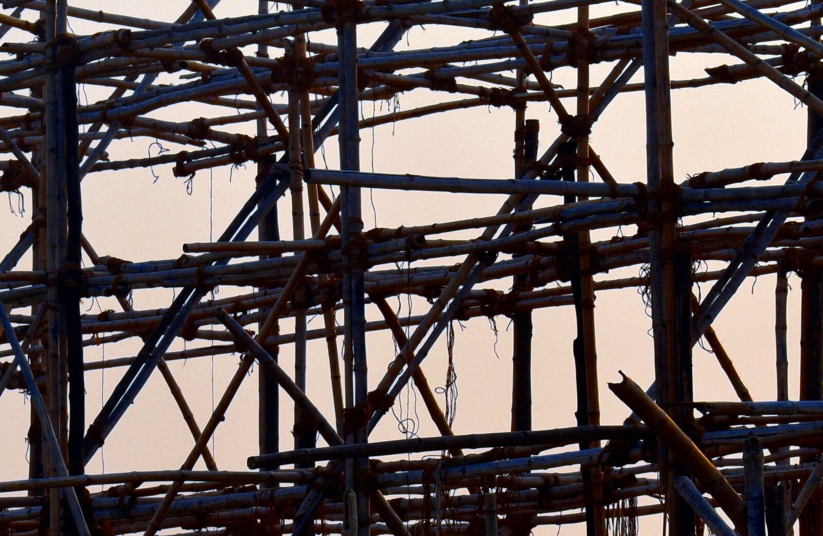 Nikon D5600 sample photo. Bamboo structure, wooden framework photography