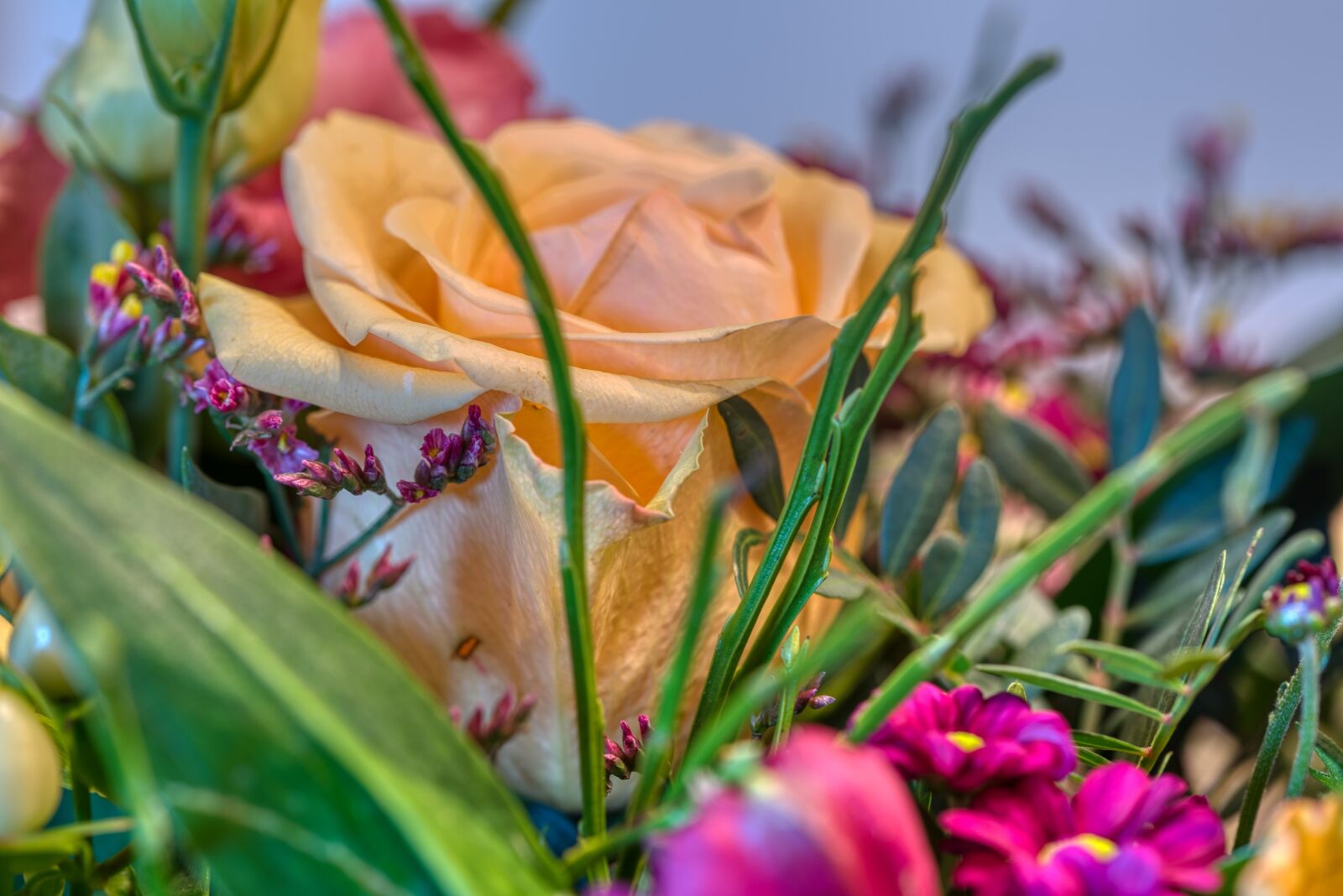 Nikon D750 sample photo. Bouquet, valentine's day, gift photography