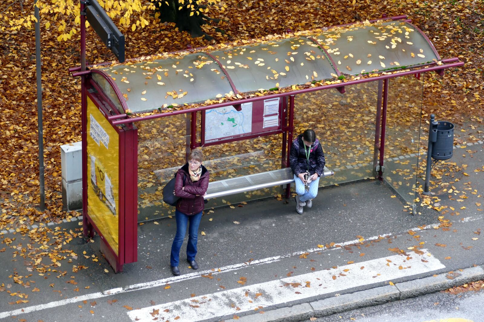 Panasonic Lumix DMC-FZ1000 sample photo. Foliage, autumn, bus stop photography