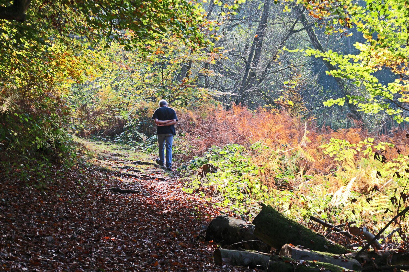 Canon EOS 700D (EOS Rebel T5i / EOS Kiss X7i) sample photo. Forest nature, loneliness, human photography