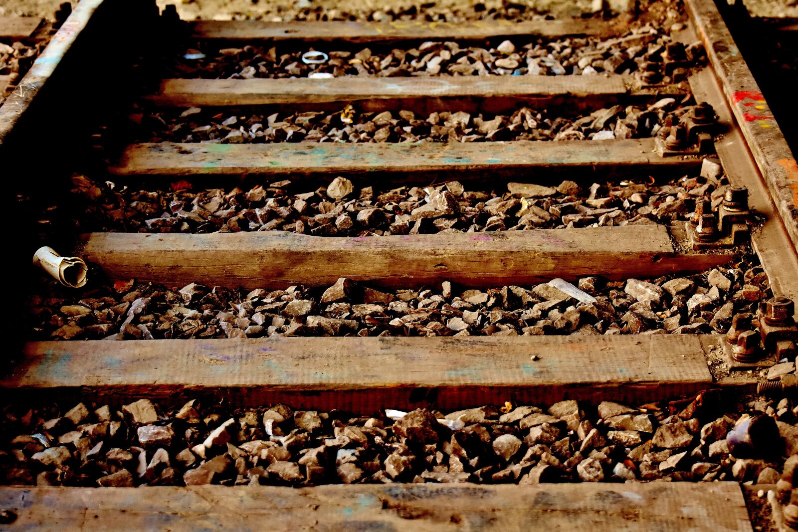 Nikon D7200 sample photo. Rails, old railroad tracks photography