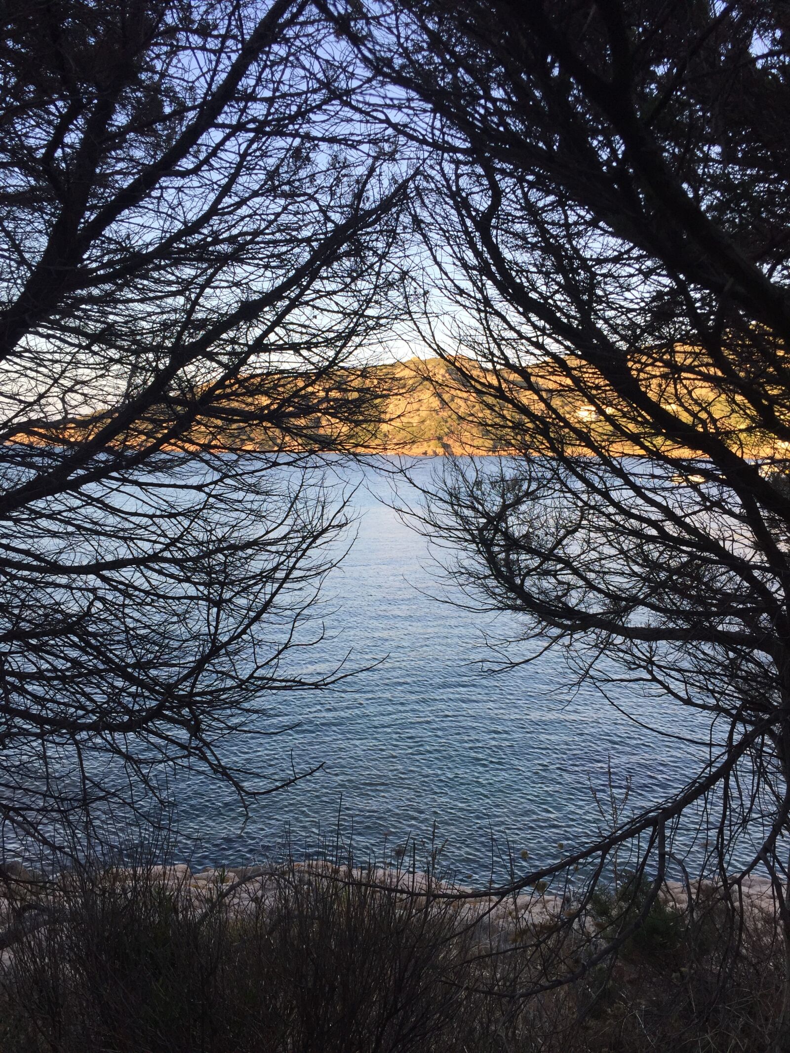 Apple iPhone 6 sample photo. Darkness, sea, mystery photography