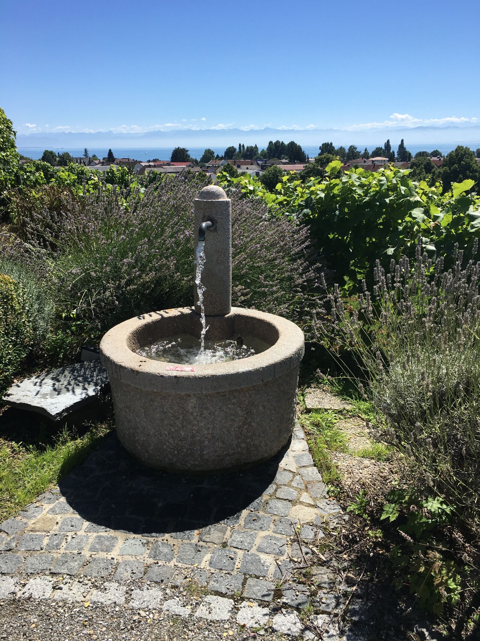 Apple iPhone 6s sample photo. Fountain, wisdom, sky photography