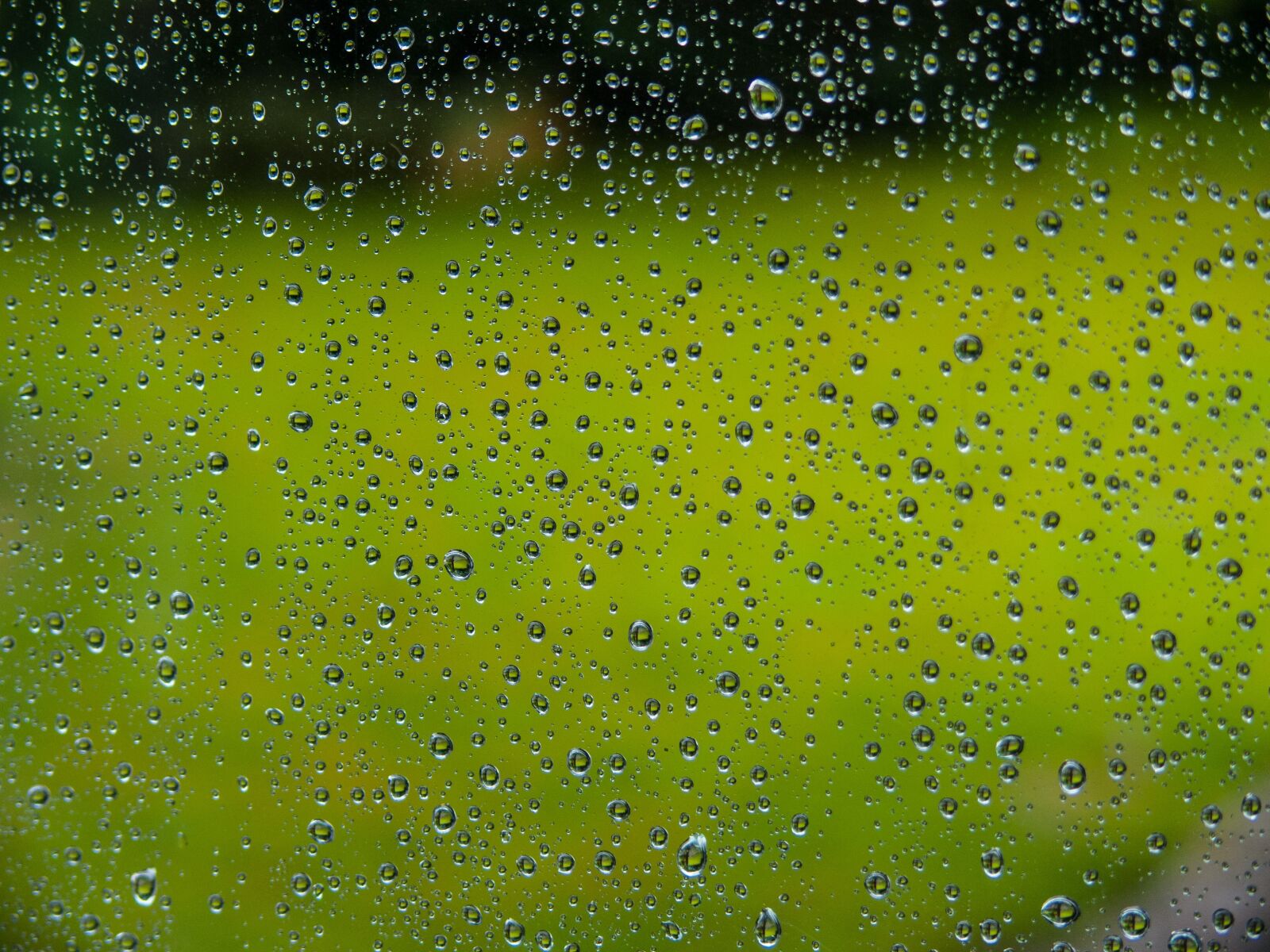 Panasonic DMC-FZ30 sample photo. Rain, window, raindrop photography