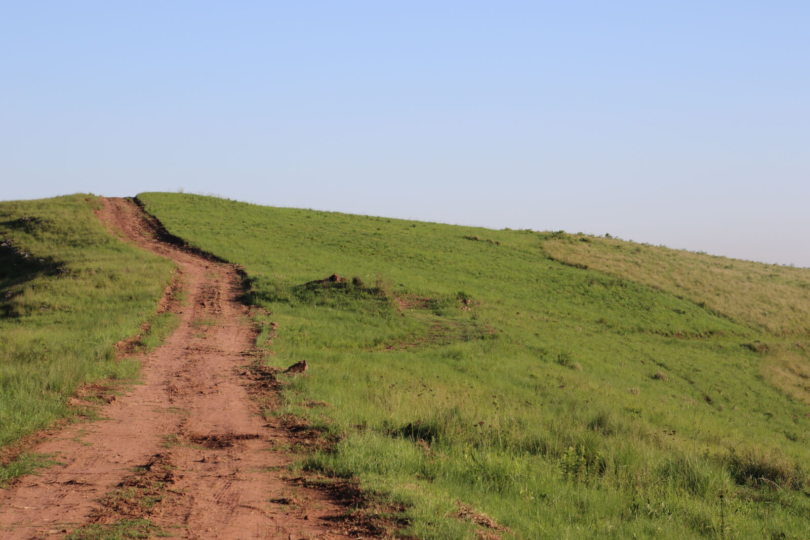 Canon EOS 7D Mark II sample photo. Blue, sky, country, country photography