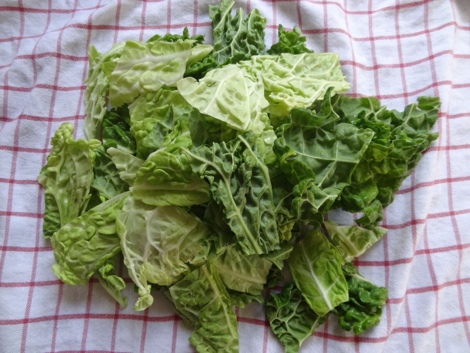 Sony Cyber-shot DSC-HX10V sample photo. Savoy, vegetables, green photography