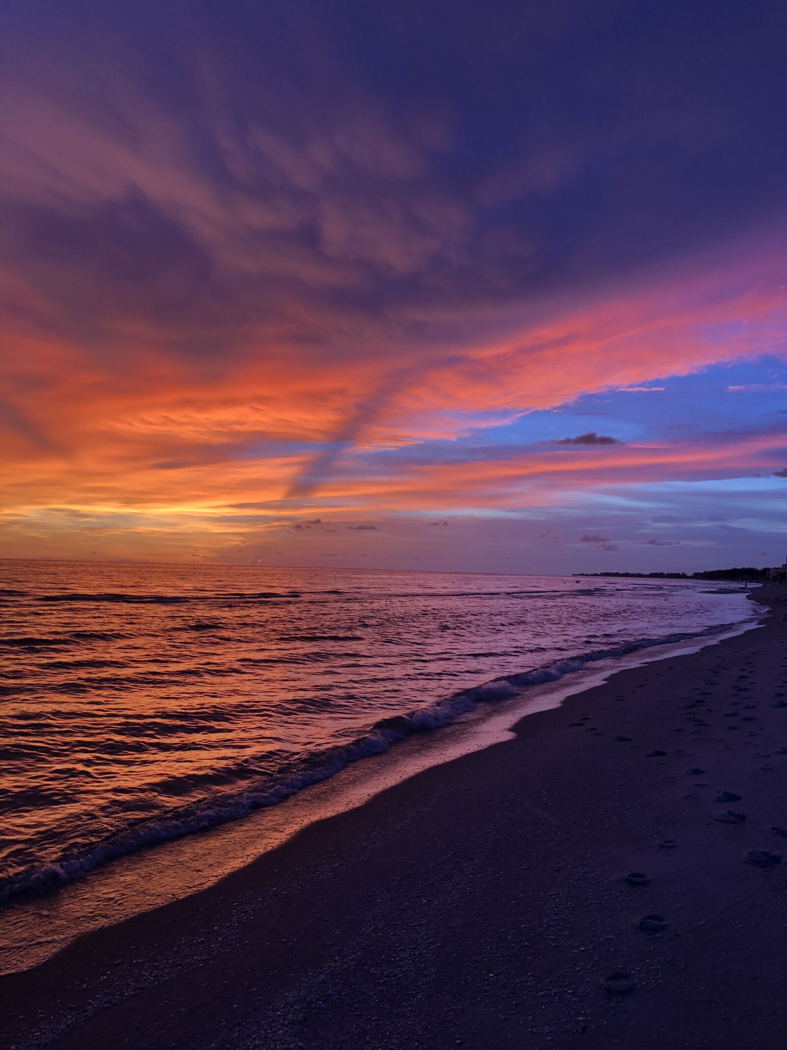 iPhone 8 Plus back dual camera 3.99mm f/1.8 sample photo. Sunset, colorful, florida photography
