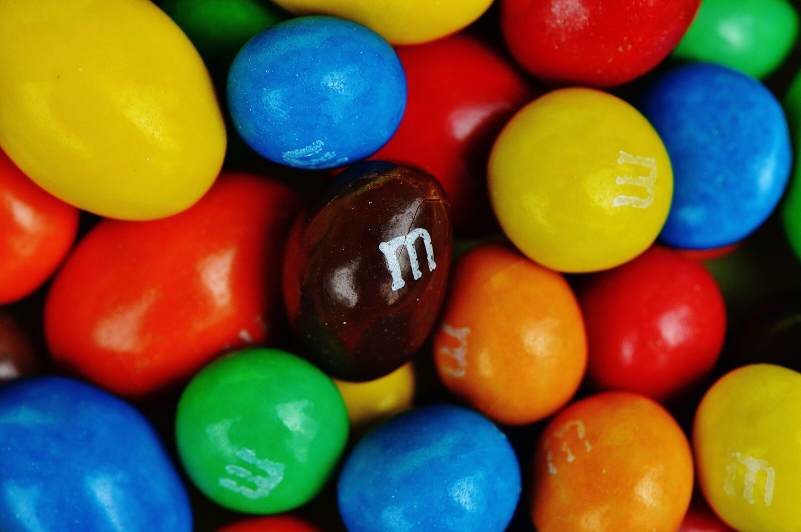 Nikon D3200 sample photo. M and m, sweetness photography