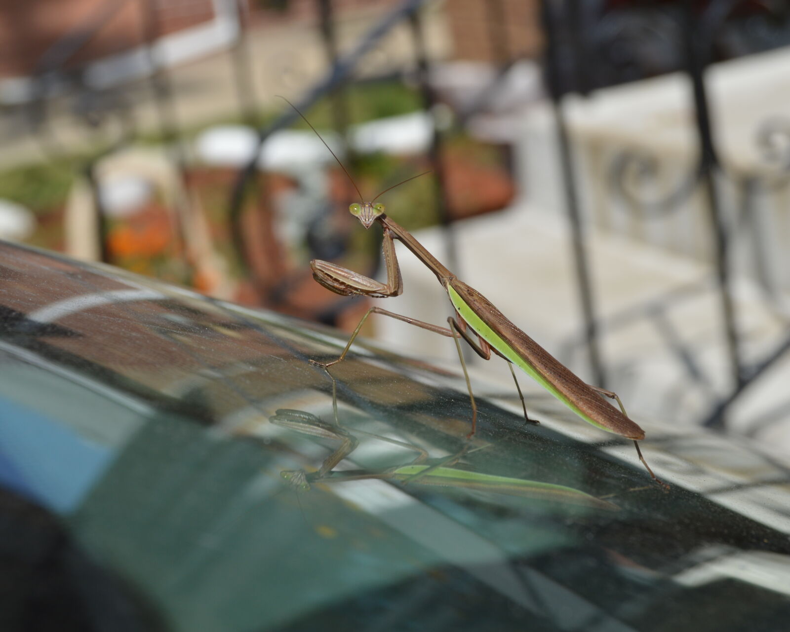 Nikon D3200 sample photo