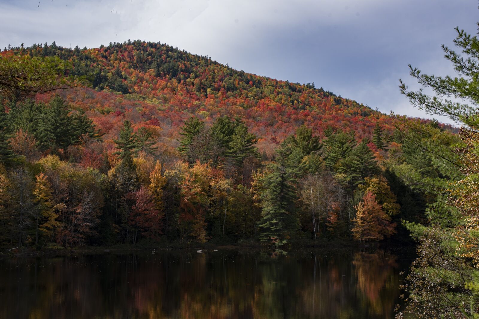 Tamron 28-300mm F3.5-6.3 Di VC PZD sample photo. Autumn color, trees, reflection photography