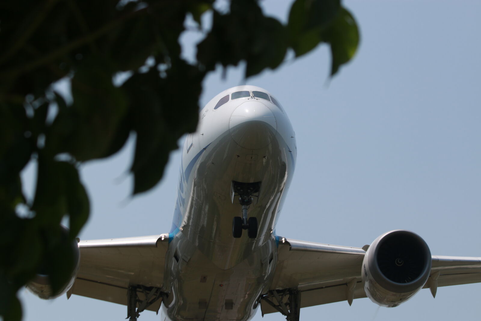 Canon EOS 70D sample photo