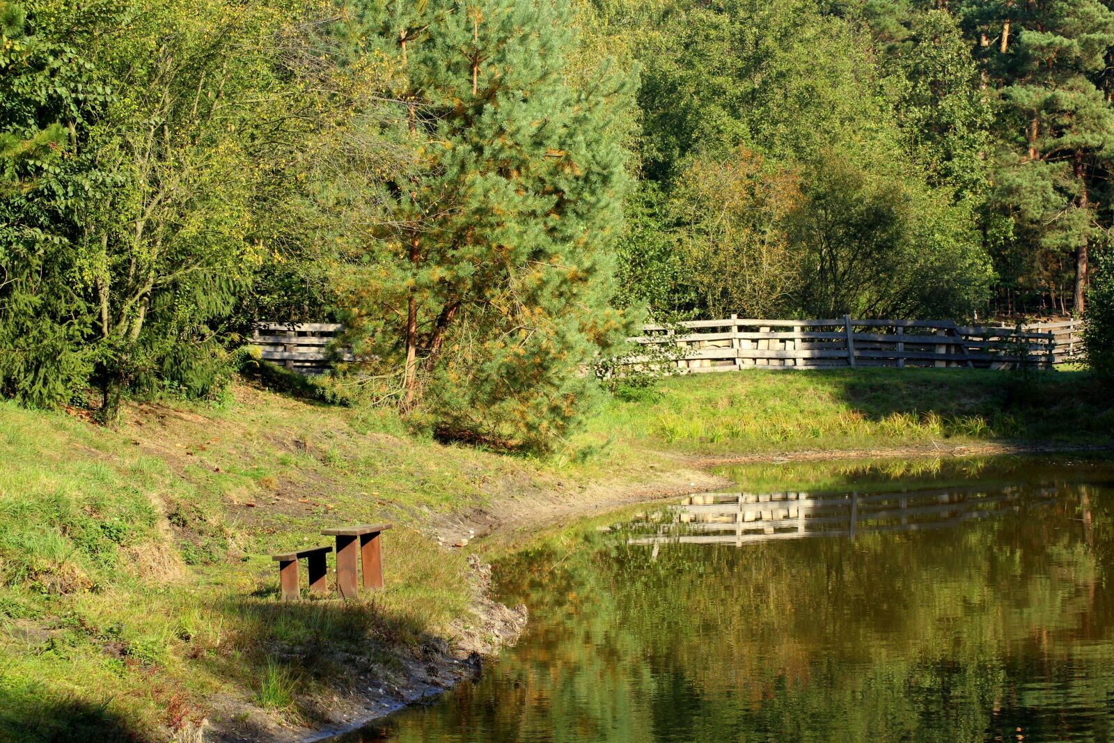 Canon EOS 1200D (EOS Rebel T5 / EOS Kiss X70 / EOS Hi) sample photo. Forest, forest lake, landscape photography