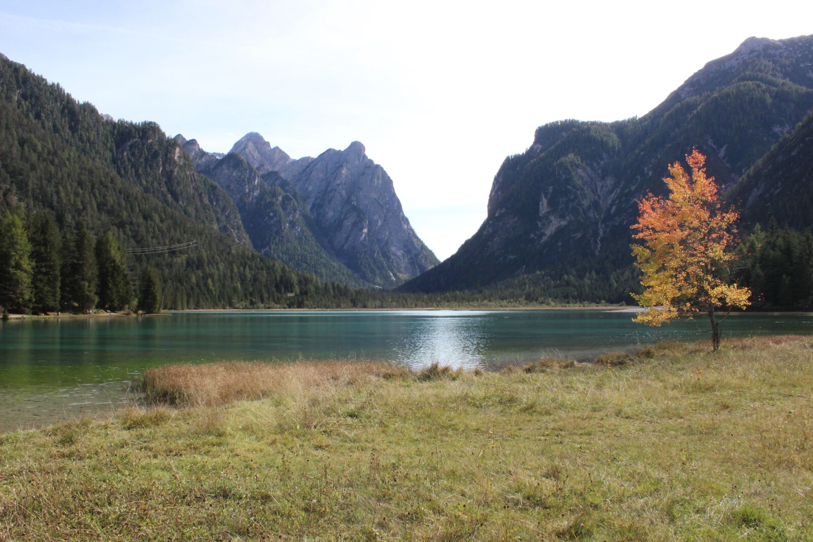 Canon EOS 600D (Rebel EOS T3i / EOS Kiss X5) sample photo. Dolomites, tree, lake photography