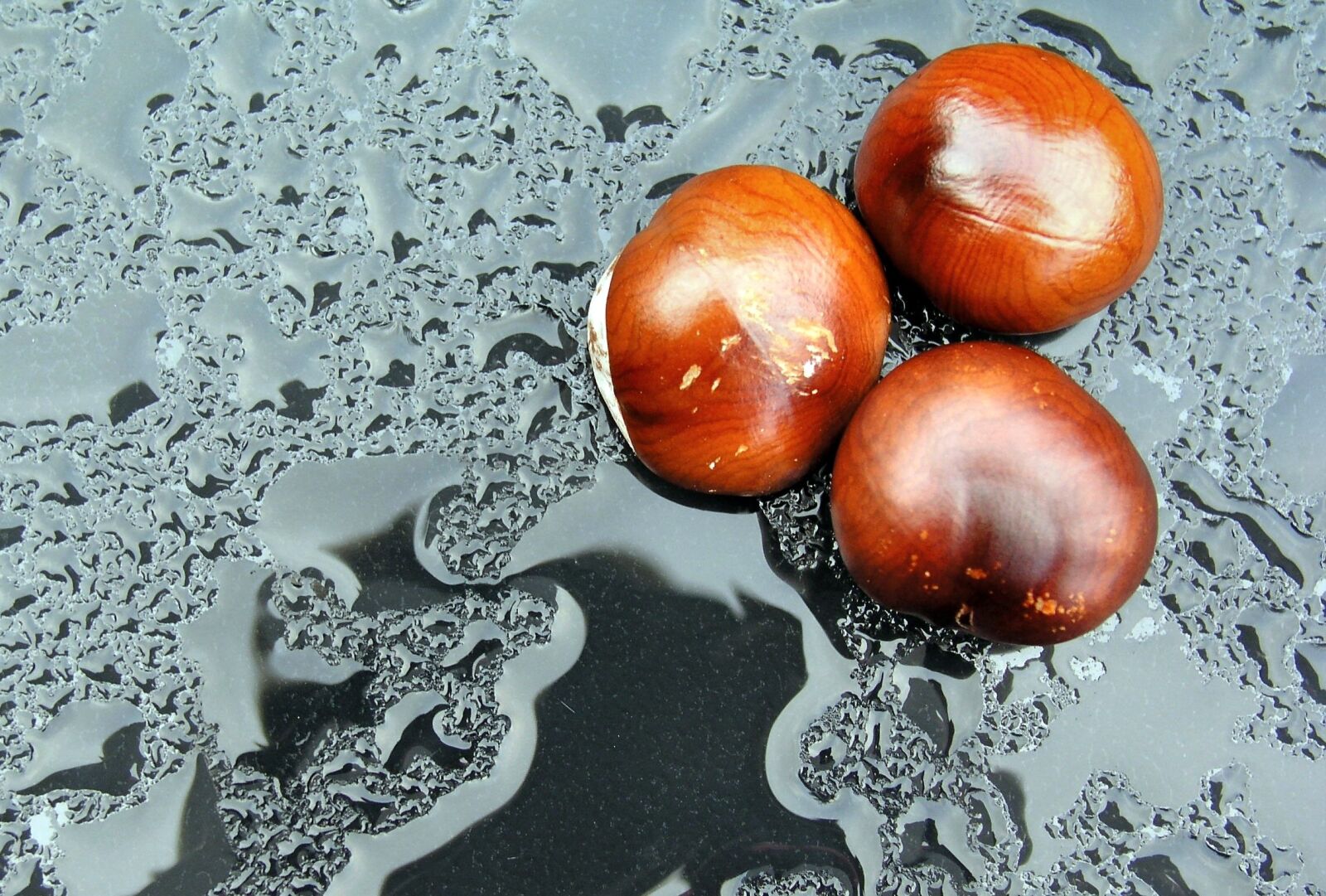 Olympus C5050Z sample photo. Chestnuts, rain, nature photography