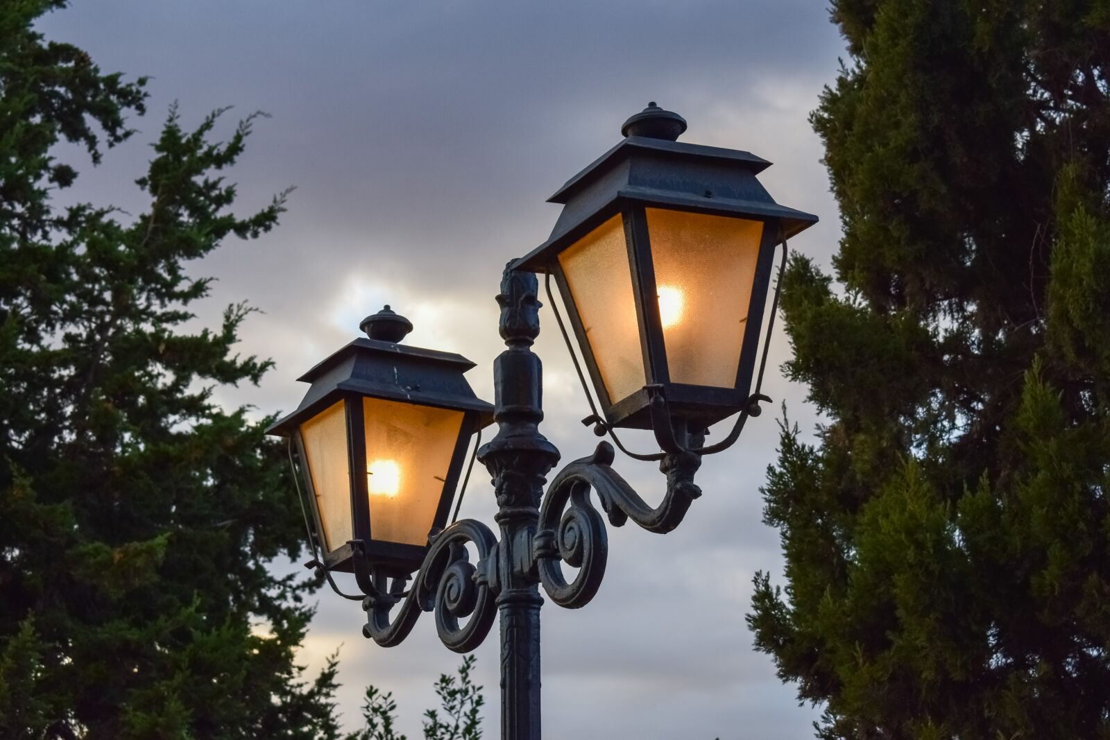 Nikon D3300 sample photo. Lamp, lantern, park photography