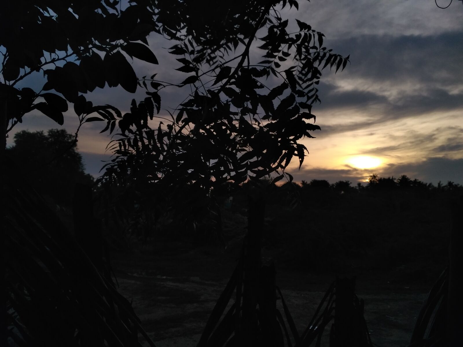 Xiaomi Redmi 3S sample photo
