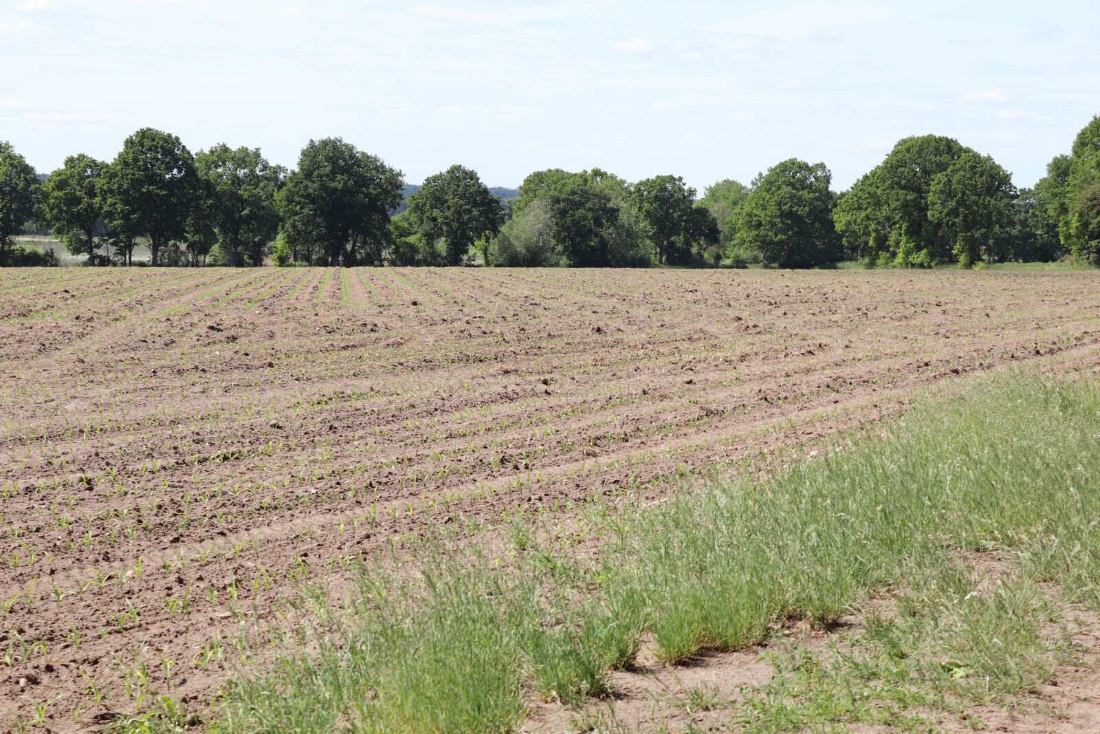 Canon EOS 200D (EOS Rebel SL2 / EOS Kiss X9) sample photo. Arable, nature, landscape photography