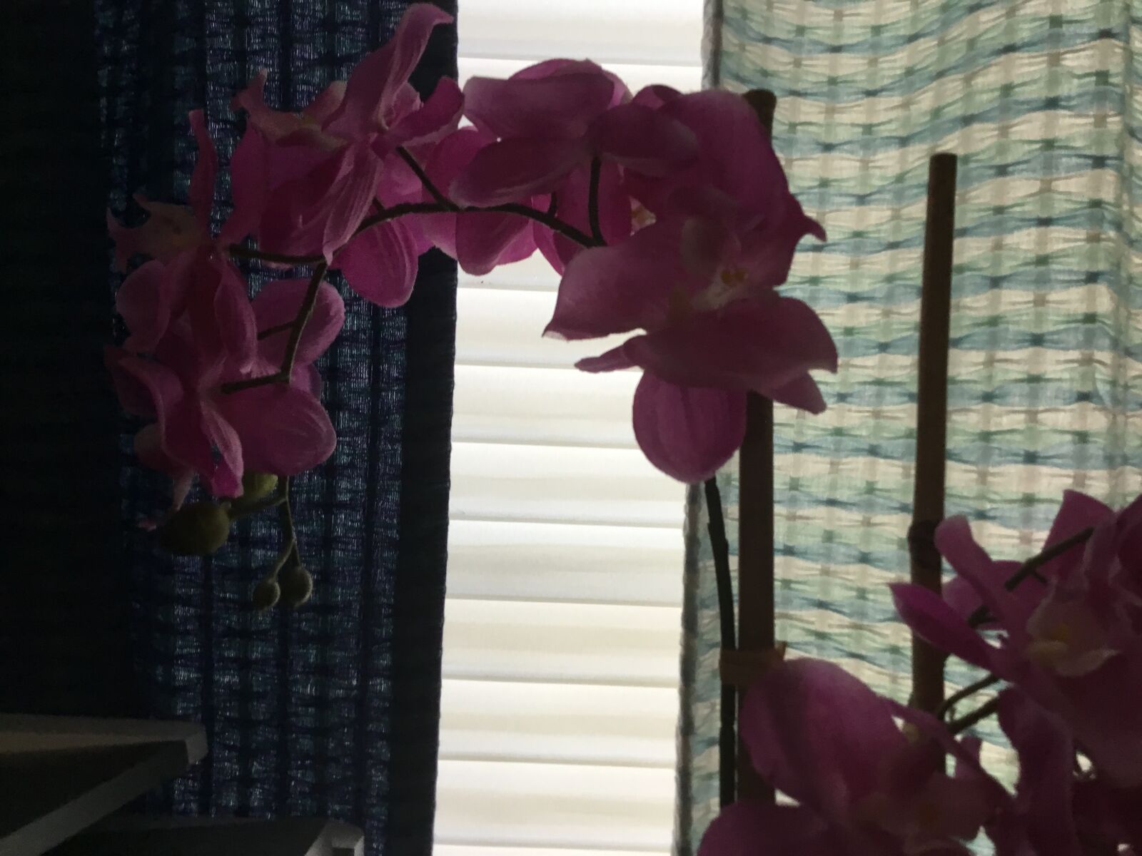 Apple iPad (5th generation) sample photo