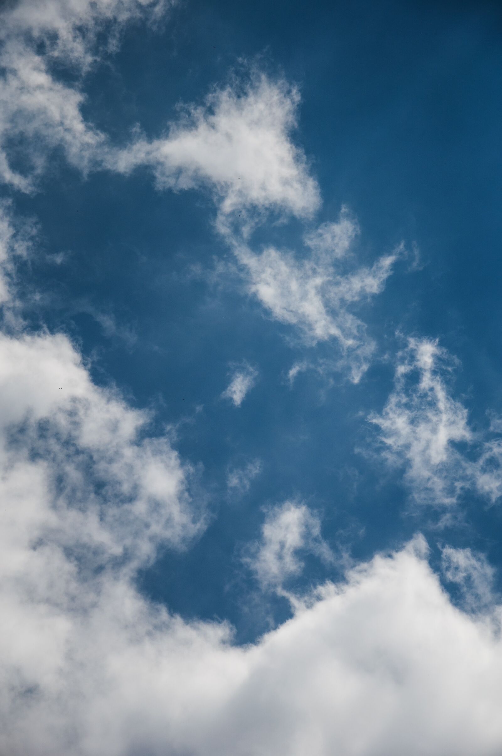 Nikon D90 sample photo. Weather, outdoor, sky photography