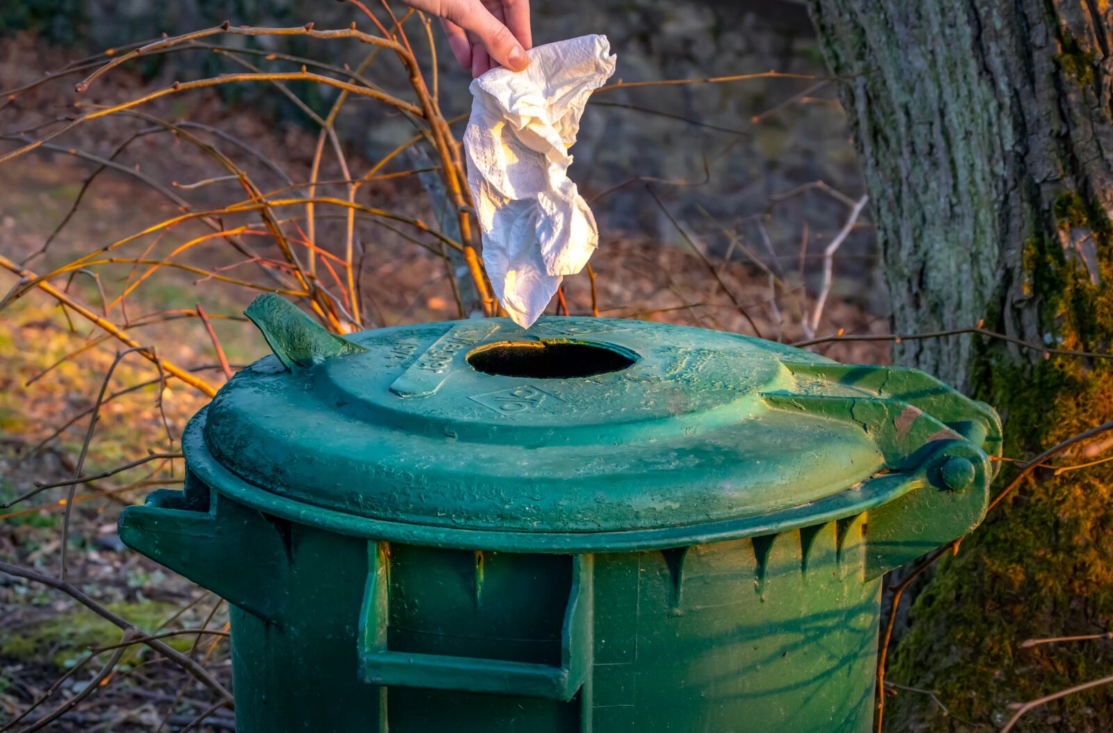 Canon EOS 80D sample photo. Garbage, dustbin, waste photography