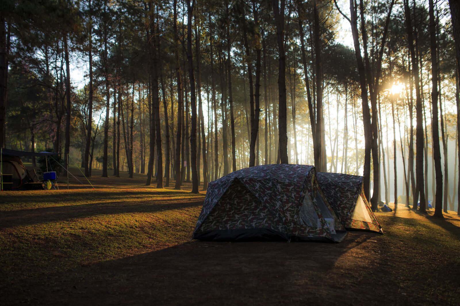 Canon EOS 6D sample photo. Site, camp, forest photography